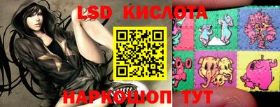ПСИЛОЦИБИНОВЫЕ ГРИБЫ Коммунар